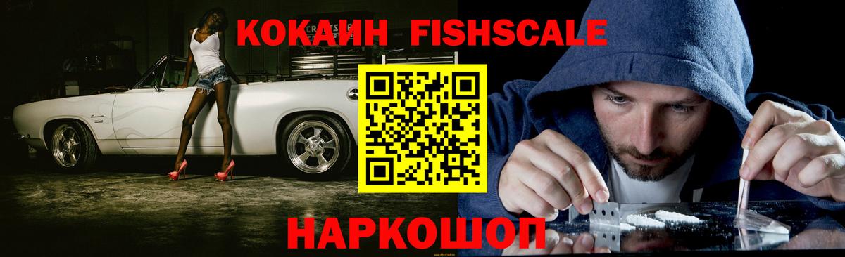 Кокаин FishScale  Заводоуковск  КОКАИН Перу 