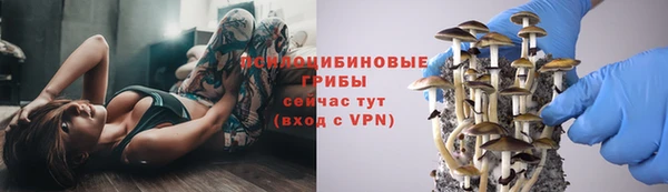 дурь Липки