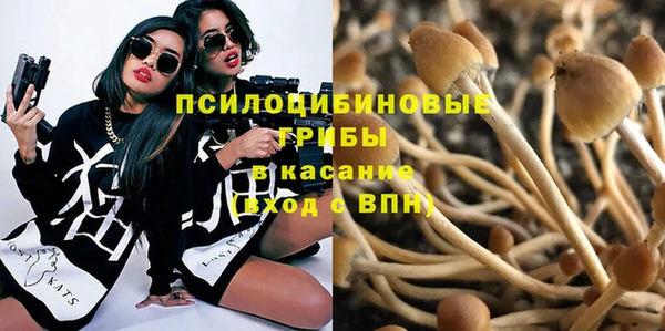 прущая мука Лиски