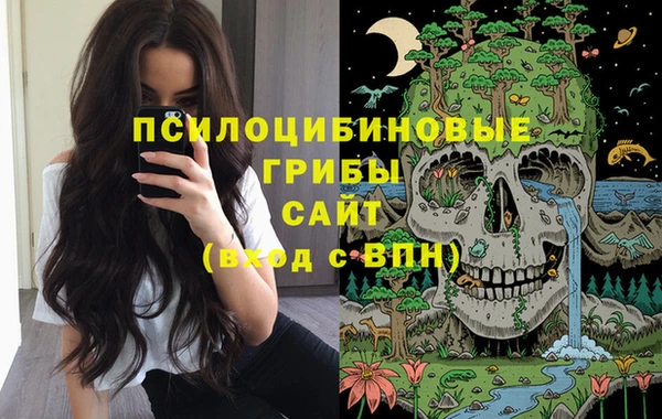 дурь Липки