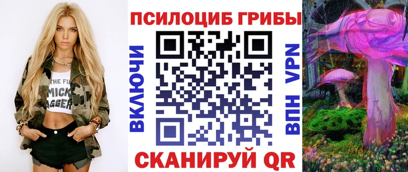 Псилоцибиновые грибы ЛСД Заводоуковск
