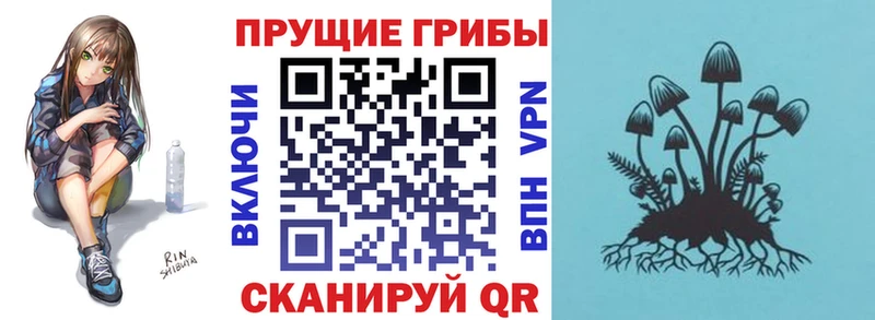 Купить Заводоуковск Псилоцибиновые грибы Psilocybine cubensis