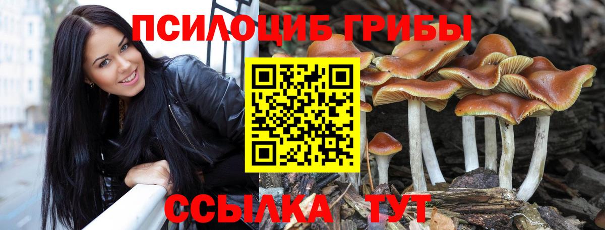 Галлюциногенные грибы Psilocybine cubensis  Заводоуковск 
