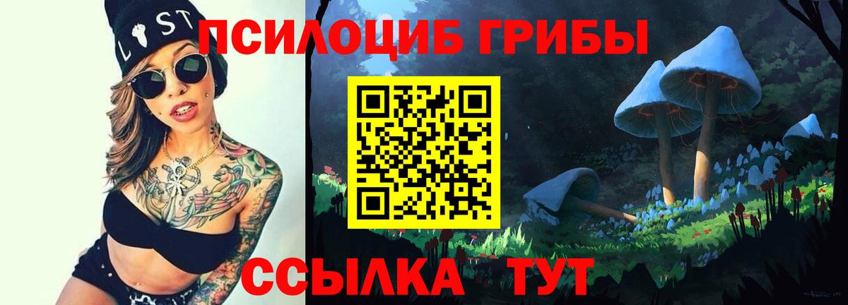 Заводоуковск  Галлюциногенные грибы Cubensis  Вход с VPN 